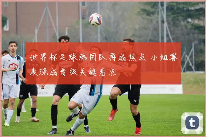 世界杯足球韩国队再成焦点 小组赛表现成晋级关键看点