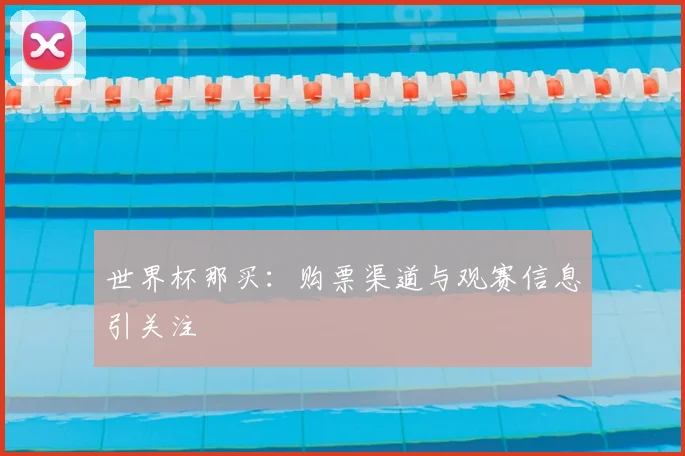 世界杯那买：购票渠道与观赛信息引关注
