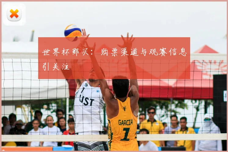 世界杯那买：购票渠道与观赛信息引关注