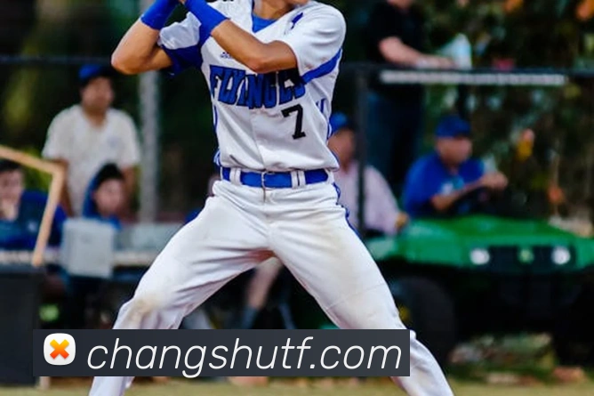 乐竞体育网页版登录界面服务体系