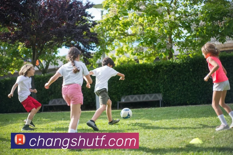 多媒体互动体验